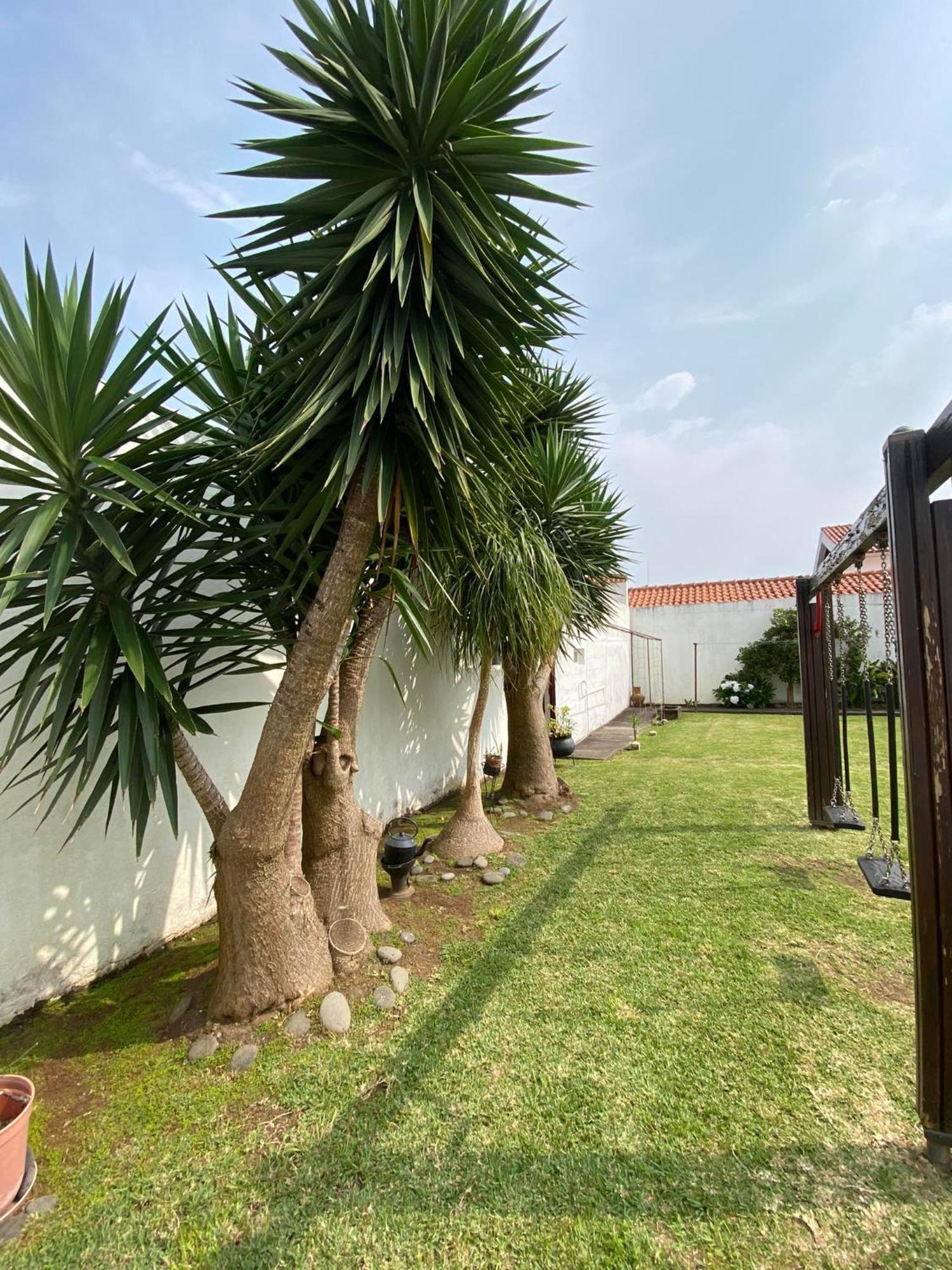 Apartamentos Sao Joao Horta  Εξωτερικό φωτογραφία