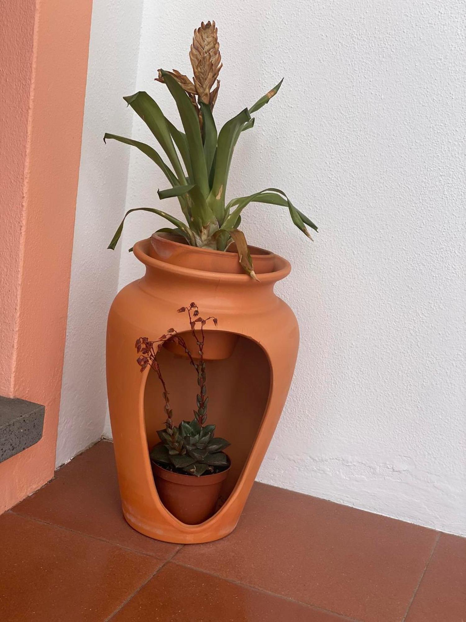 Apartamentos Sao Joao Horta  Εξωτερικό φωτογραφία